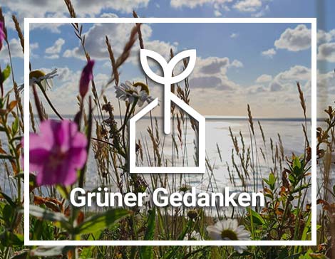 Umweltbewustsein - Grüner Gedanken
